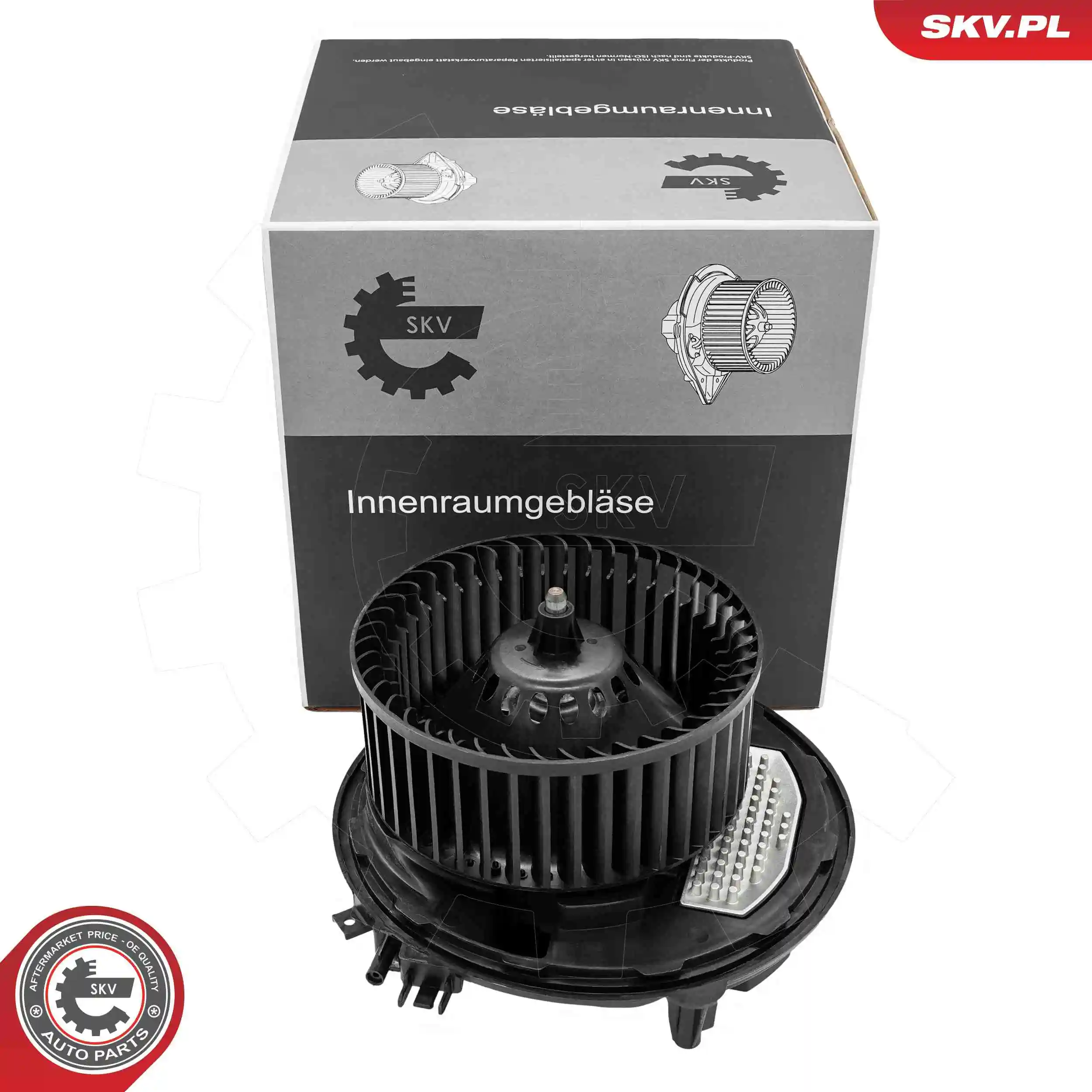 Interior Blower